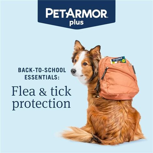 PetArmor Plus Flea and Tick Prevention for Dogs, Dog Flea and Tick Treatment, 1 Dose, Waterproof Topical, Fast Acting, Small Dogs (5-22 lbs) in Kuwait