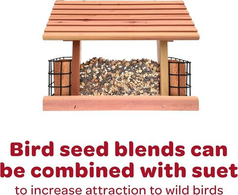 كايتي بذور عباد الشمس المخططة ل Jays الأزرق ، نقار الخشب ، Finches والطيور البرية الأخرى ، 5 أرطال in Saudi Arabia