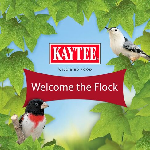 كايتي بذور عباد الشمس المخططة ل Jays الأزرق ، نقار الخشب ، Finches والطيور البرية الأخرى ، 5 أرطال in Saudi Arabia