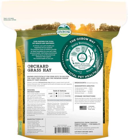 Oxbow Orchard Grass Hay for Small Pets – All-Natural Long Strand Fiber Hay for Rabbits, Guinea Pigs, Chinchillas, and Hamsters – Supports Digestive Health and Enrichment – 40 oz Bag in Saudi Arabia