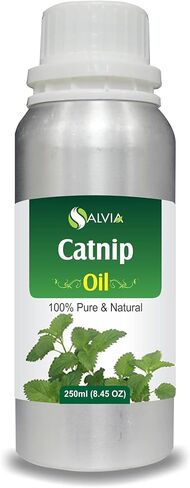 زيت أرنيكا (أرنيكا مونتانا) العطري العلاجي من Salvia Amber Bottle 100% طبيعي ونقي غير مخفف ومعصور على البارد 30ml in Kuwait