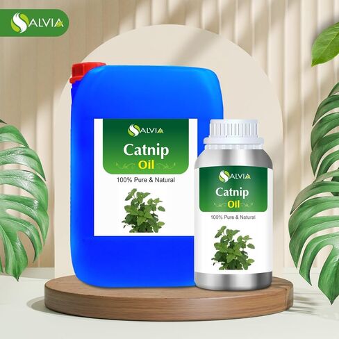 زيت أرنيكا (أرنيكا مونتانا) العطري العلاجي من Salvia Amber Bottle 100% طبيعي ونقي غير مخفف ومعصور على البارد 30ml in Kuwait