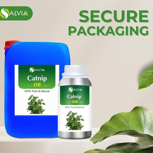 زيت أرنيكا (أرنيكا مونتانا) العطري العلاجي من Salvia Amber Bottle 100% طبيعي ونقي غير مخفف ومعصور على البارد 30ml in Kuwait