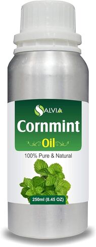 Arnica (Arnica Montana) Therapeutic Essential Oil by Salvia Amber Bottle 100% Natural Uncut Undiluted Pure Cold Pressed Undiluted Aromatherapy Premium Oil (30 ML) in Kuwait
