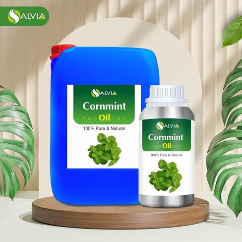 Arnica (Arnica Montana) Therapeutic Essential Oil by Salvia Amber Bottle 100% Natural Uncut Undiluted Pure Cold Pressed Undiluted Aromatherapy Premium Oil (30 ML) in Kuwait