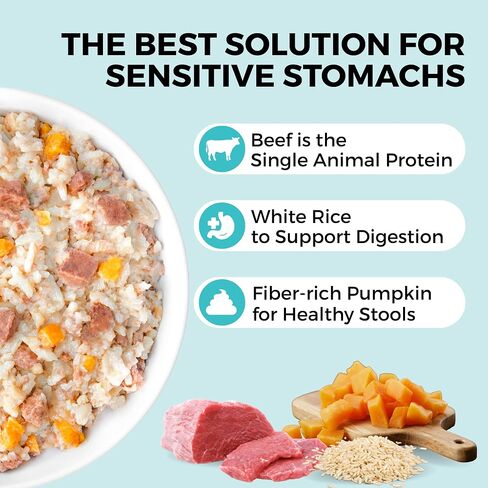 KOHA Limited Ingredient Bland Diet for Dogs, Chicken and White Rice Sensitive Stomach Wet Dog Food, Sold in Over 5,000 Vet Clinics & Pet Stores, Gentle Easy to Digest Bland Diet Dog Food, Pack of 6 in Kuwait
