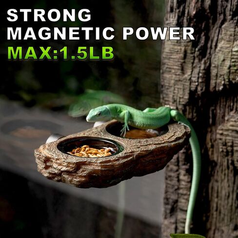 Oiibo Magnetic Reptile Reserger الحافة ، حافة التغذية Crested Gecko مع كؤوس الطعام 6pcs زواحف الطعام ملحقات دبابة صحن المياه لسلاح Dragon Chameleon Snake in Kuwait