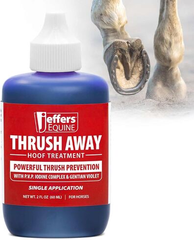 Jeffers Equine Thrush Away - 2 ٪ معالجة الحافر اليود للخيول والماشية ، حل الحافر الحافر للظروف الرطبة والجافة ، يدعم النظافة الحافر ، التطبيق السهل ، المزرعة والمستقرة in Kuwait