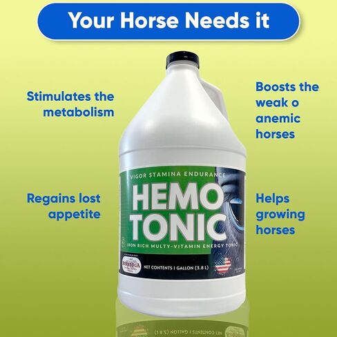 Hemotonic - Iron Grich Multi -Viti -Vitamin Tonic Tonic Power Builder & Energy Revitalizer للخيول بواسطة المنتج البيطري Saratoga (1 QT) in Kuwait