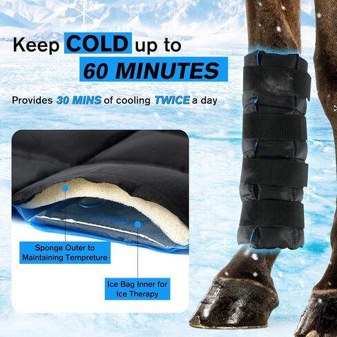 Horse Leg Wraps Set of 2, Horse Ice Leg Boots Perfect for Equestrian Training& Daily Use, Comfortable and Premium Support for Injury Recovery to Fit for All Horses(Black & Blue, 2Pack) in Kuwait