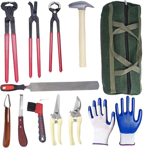 12pcs أدوات Farrier Profession in Saudi Arabia