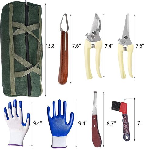 12pcs أدوات Farrier Profession in Saudi Arabia