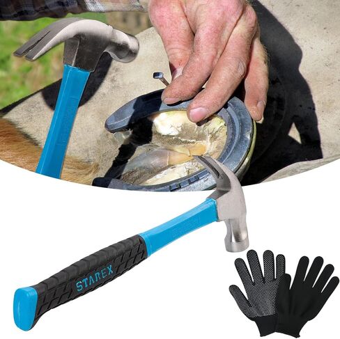 12pcs أدوات Farrier Profession in Saudi Arabia