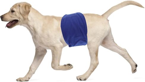 Garneck Male Dog Belly Wrap Band Denim Diaper Diaper Pants for Salitory Size S Size S Cog Dog Stelwear من أجل الشفاء والملابس اليومية in Saudi Arabia