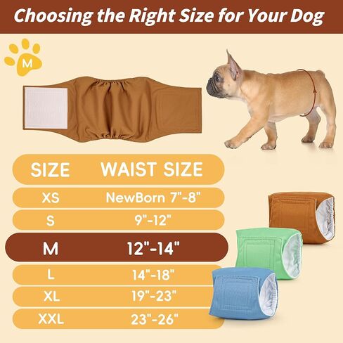 MICOOYO Male Dog Belly Bands Washable, Reusable Dog Diapers Male, Doggy Diapers for Puppy Training, Incontinence, Marking, M, Pack of 3 in Kuwait