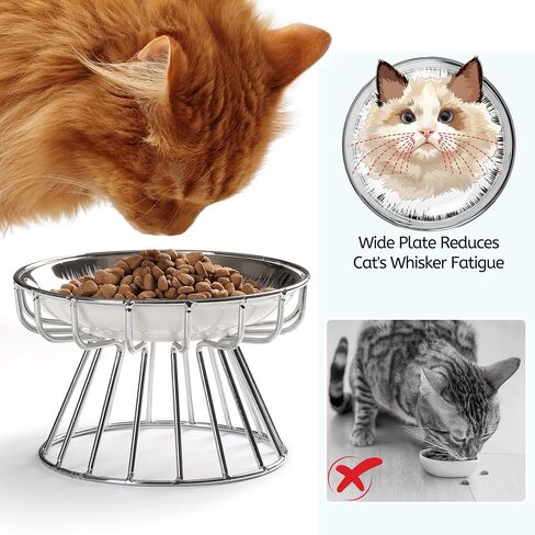 Cat Bowls, Elevated Cat Bowl, Raised Ceramic Dish with Metal Stand, Pet Water or Food Feeding Station for Indoor Cats, Kitten, Puppies and Small Dogs, Dishwasher Safe in Saudi Arabia