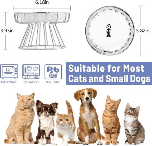 Cat Bowls, Elevated Cat Bowl, Raised Ceramic Dish with Metal Stand, Pet Water or Food Feeding Station for Indoor Cats, Kitten, Puppies and Small Dogs, Dishwasher Safe in Saudi Arabia