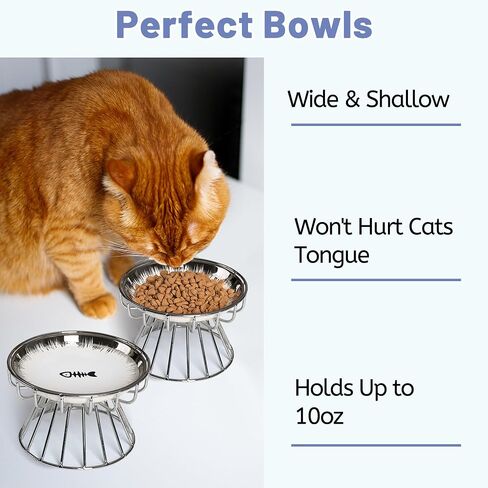 Cat Bowls, Elevated Cat Bowl, Raised Ceramic Dish with Metal Stand, Pet Water or Food Feeding Station for Indoor Cats, Kitten, Puppies and Small Dogs, Dishwasher Safe in Saudi Arabia