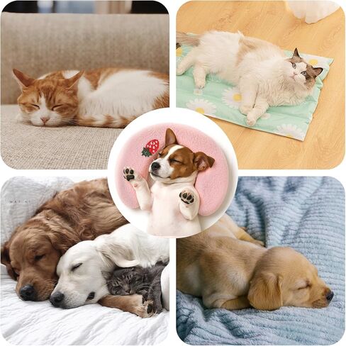 وسادة على شكل حرف U للحيوانات الأليفة ، وسادة تهدئة للحيوانات الأليفة الناعمة والرقيقة ، ونصف دونات الحضن بنمط تطريز لطيف ، يمكن أن تدعم رقبة الحيوانات الأليفة ، والآلة ، ومناسبة للقطط والكلاب والحيوانات الأليفة الأخرى in Kuwait