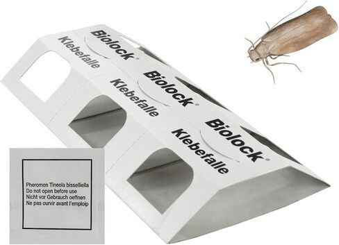 مفصولة Biolock (عثة الملابس) in Saudi Arabia