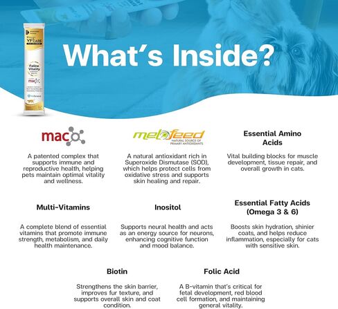 مكملات القط القطط Vitality Cat-عجينة قابلة للشفاء لدعم المناعة والقطط التخلص من حساسية الجلد-متعدد الفيتامينات اليومية مع أوميغا 3 ، البيوتين ، البروبيوتيك ، ماك ، توراين-30 كيس in Saudi Arabia
