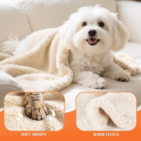 Cat Blanket for Small Dogs Puppy Cat, 16" x 24" Grey/Beige Pack 2, Soft Warm Sherpa Fleece Cat Blanket Washable in Kuwait