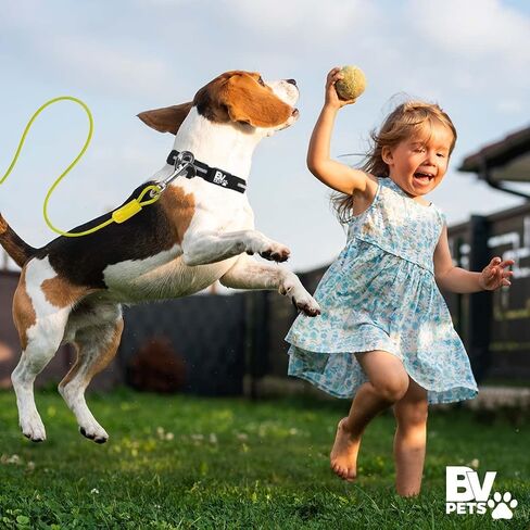 BV Dog Tie Out Cable 30 Feet - Heavy Duty Dog Lead Up to 125 Pounds - Reflective & Rust-Free with Quick Release Swivel Clips & 360° Rotating Clasp - Tangle-Free Dogs Runner for Yard (Red, Single) in Saudi Arabia