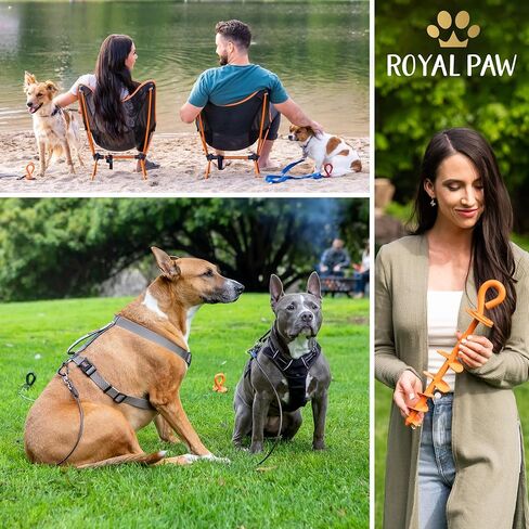 ROYAL-PAW Dog Tie Out Stake - for Large Dogs up to 210 lbs - Heavy Duty Dog Stake for Yard, Beach & Camping Outside - Best in Ground Anchor for a Dog Cable, Leash, Lead Tether (1, Midnight Black) in Kuwait