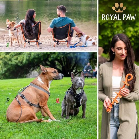 ROYAL-PAW Dog Tie Out Stake - for Large Dogs up to 210 lbs - Heavy Duty Dog Stake for Yard, Beach & Camping Outside - Best in Ground Anchor for a Dog Cable, Leash, Lead Tether (1, Midnight Black) in Kuwait