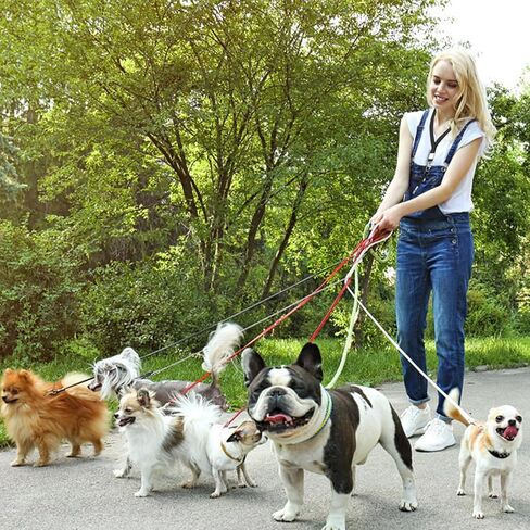 Dog Whistle to Stop Barking Neighbors Dog，Professional Recall Dog Training Whistles,2 Pcs Adjustable Silent Dog Whistle with Lanyard,Black and White in Kuwait