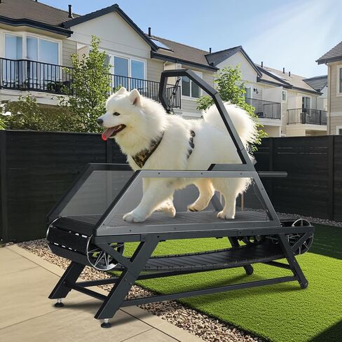 حلقة مفرغة للكلاب للكلاب الكبيرة المتوسطة ، و slatmill للكلاب مع عداد الخطى والفرامل ، ومطحنة للكلاب لممارسة الرياضة اليومية واللياقة ، مناسبة للداخلية/الخارجية ، ووزن 300 رطل ، متحرك مع العجلات in Kuwait