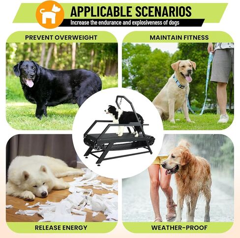 حلقة مفرغة للكلاب للكلاب الكبيرة المتوسطة ، و slatmill للكلاب مع عداد الخطى والفرامل ، ومطحنة للكلاب لممارسة الرياضة اليومية واللياقة ، مناسبة للداخلية/الخارجية ، ووزن 300 رطل ، متحرك مع العجلات in Kuwait