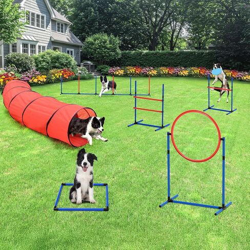 DWVO Dog Agility Accessories Kit: Comprises of a Teaser Pole, 2 Hurdles, 3 Flying Discs, 6 Weaving Poles, Agility Tunnel, Pause Box, Full Set of Agility Equipment for Backyard Indoors Outdoors in Saudi Arabia