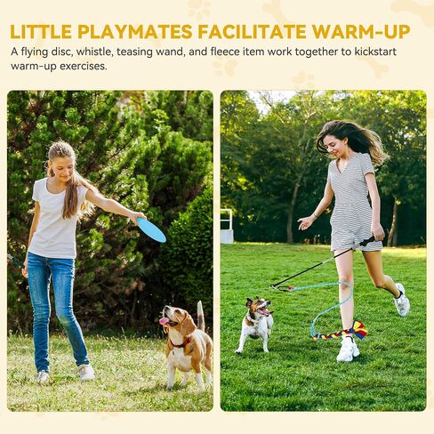 DWVO Dog Agility Accessories Kit: Comprises of a Teaser Pole, 2 Hurdles, 3 Flying Discs, 6 Weaving Poles, Agility Tunnel, Pause Box, Full Set of Agility Equipment for Backyard Indoors Outdoors in Saudi Arabia