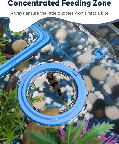 Pawfly 2 Pcs Fish Feeding Ring for Aquarium – Round and Square Floating Food Feeder with Suction Cup for Betta, Goldfish, Guppy, Turtle & Small Fish in Kuwait