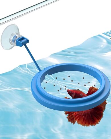 Pawfly 2 Pcs Fish Feeding Ring for Aquarium – Round and Square Floating Food Feeder with Suction Cup for Betta, Goldfish, Guppy, Turtle & Small Fish in Kuwait