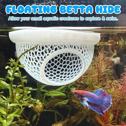 عائم Betta Hide & Rabrimp Cave-All-In-One Aquarium Hammock و Feeder و Safe Retting Sanks لخزانات الأسماك الخالية من الإجهاد in Kuwait
