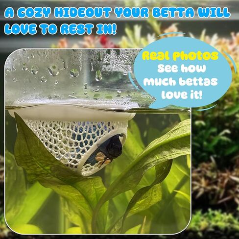 عائم Betta Hide & Rabrimp Cave-All-In-One Aquarium Hammock و Feeder و Safe Retting Sanks لخزانات الأسماك الخالية من الإجهاد in Kuwait