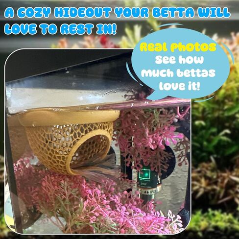 عائم Betta Hide & Rabrimp Cave-All-In-One Aquarium Hammock و Feeder و Safe Retting Sanks لخزانات الأسماك الخالية من الإجهاد in Kuwait