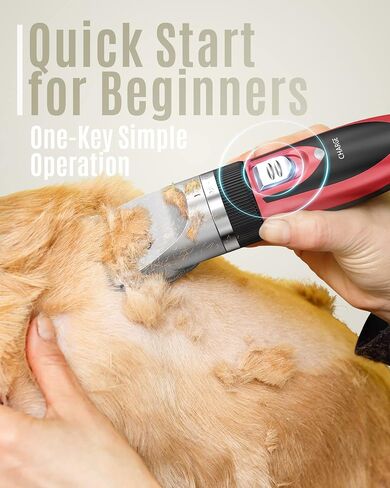 Oneisall Dog Clipper Low Love ، Kit Dog Grooming Kit with Reclable ، Pet Shaver Cordless Electric Hawd Hair Cliper Clipper for Dogs Cats Pets （Gold） in Kuwait