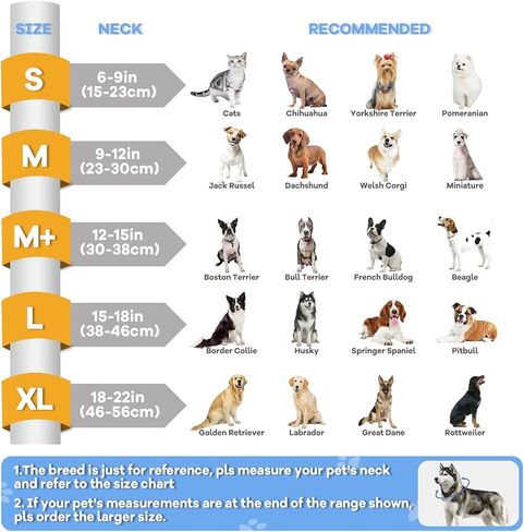 2 في 1 طوق مخروط الكلب القابل للتنفاز مع درع مضاد للانفصال ، طوق إليزابيثان ناعم قابل للتعديل للكلاب بعد الجراحة (L ، رمادي) in Kuwait