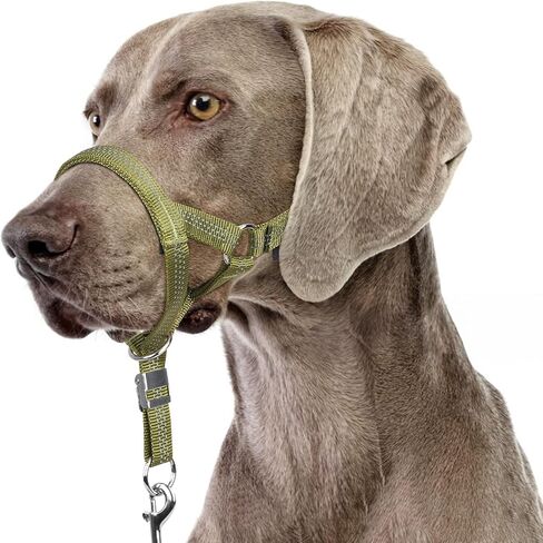 BARKLESS Sturdy No Pull Head Collar for Medium Large Dogs, Gentle Reflective Head Halter with Safety Link, Adjustable Nylon Dog Training Muzzle Leash for Walking Control (Black, L) in Saudi Arabia