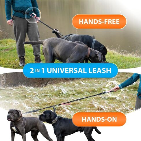 SparklyPets - Hands Free Dual Dog Leash for Medium and Large Female Dogs - Padded Handles, Reflective Stitches, No Pull, Tangle Free - Walking, Hiking, Jogging, Canicross Waist Leash - Gradient Pink in Kuwait