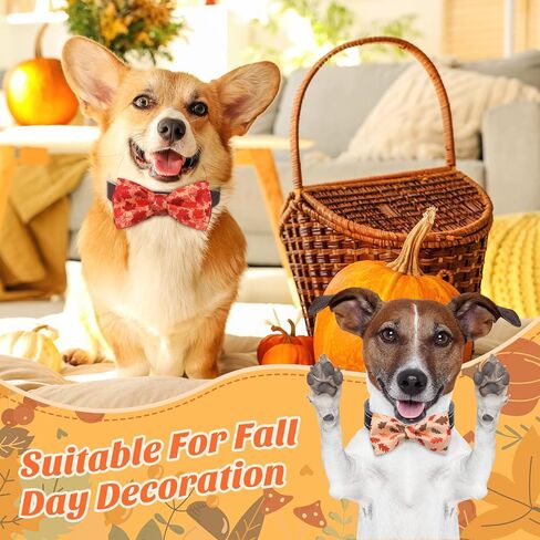 Hillban 50 PCS Fall Collar Bow Bow Ties Maple Leaves Cogs Collar Accessories Pet in Kuwait