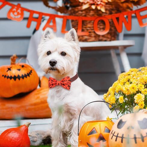 Hillban 50 PCS Fall Collar Bow Bow Ties Maple Leaves Cogs Collar Accessories Pet in Kuwait