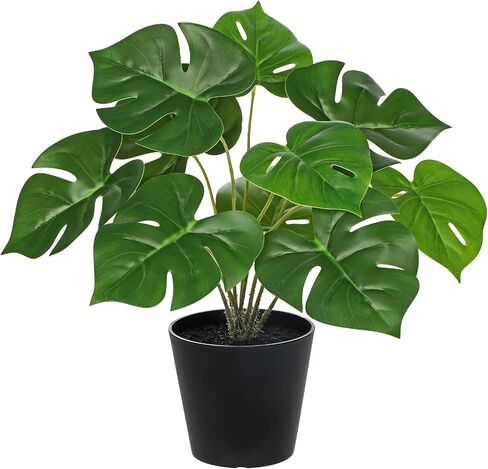 نبات Monstera الاصطناعي الرائع مقاس 13 بوصة نبات صناعي صغير في وعاء سيراميك بوعاء نبات صناعي داخلي للمنزل والحمام وغرفة المعيشة وطاولة المكتب ورف المكتب وديكورات المكتب in Saudi Arabia