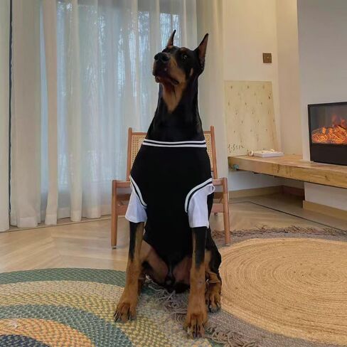 Medium and Large Dog Sports T-Shirts with Basketball Style (Black, XXXXX-Large) in Saudi Arabia