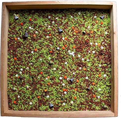 Colored Rice, Sensory Rice, Forest Sensory Rice, Sensory Bin, Sensory Bin Filler, Sensory Play, Sensory table, Preschool Learning Activities (8 Cups) in Saudi Arabia