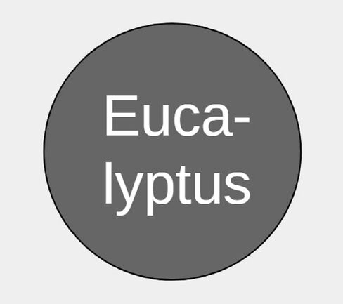 ملصقات غطاء زجاجة زيت Eucalyptus الأساسية لـ Doterra أو Young Living (154 ملصقًا لكل ورقة) (صفحتان) in Saudi Arabia