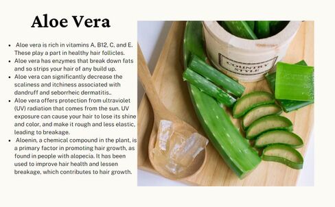 مكيف رطوبة عميق ترطيب العسل مع العسل والأفوكادو والألوة فيرا للشعر الناعم القابل للإدارة ونمو الشعر السريع in Kuwait